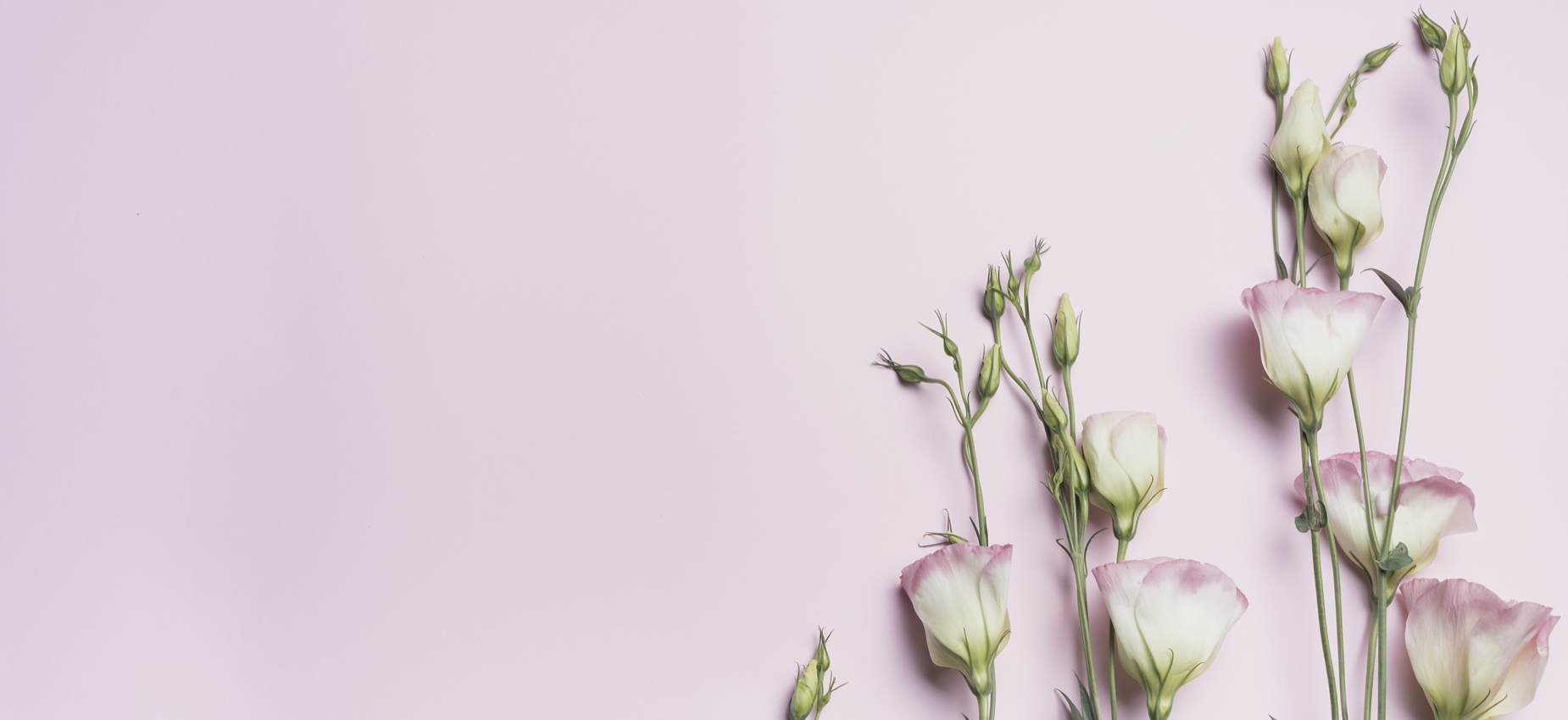 Erzurum Rüyam Çiçekçilik