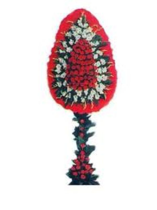  Erzurum Çiçekçiler - Glayör ve Karanfil