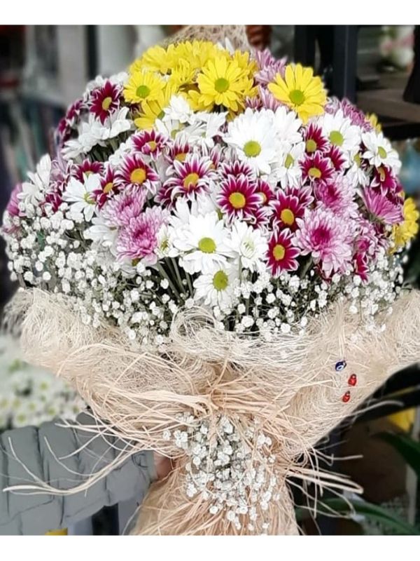  Erzurum  Çiçek - Rengarenk Papatya