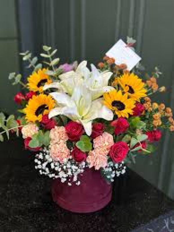  Erzurum  Çiçek - Ay Çiçeği Arajamnı