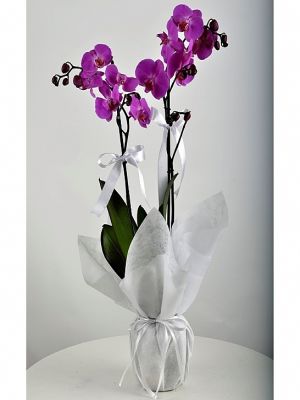  Erzurum Çiçekçiler - Vazoda Renkli Kırçiçekleri