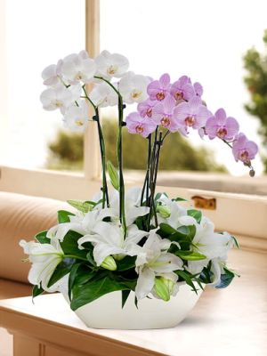  Erzurum Çiçek Gönder - Sarı Gül Gerbera