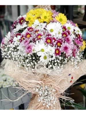  Erzurum  Çiçek - Rengarenk Papatya