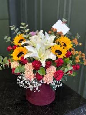  Erzurum  Çiçek - Saksıda Benjamin