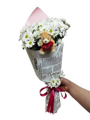  Erzurum  Çiçek - Beyaz Papatya Ayıcık