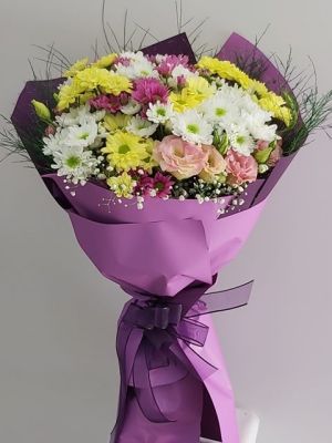  Erzurum  Çiçek - Saksıda Benjamin